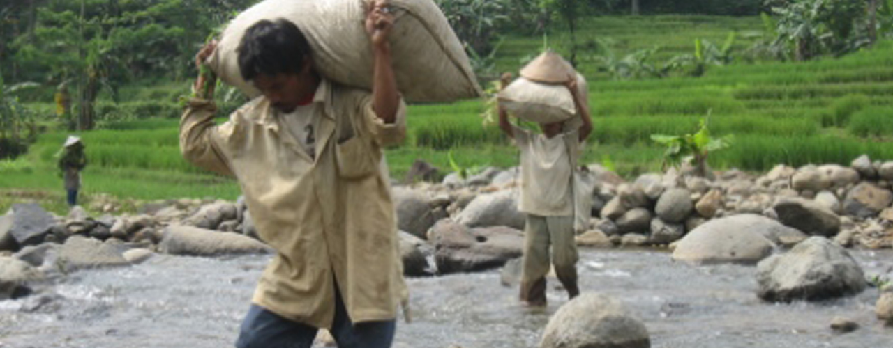 Transporting Coffee Beans